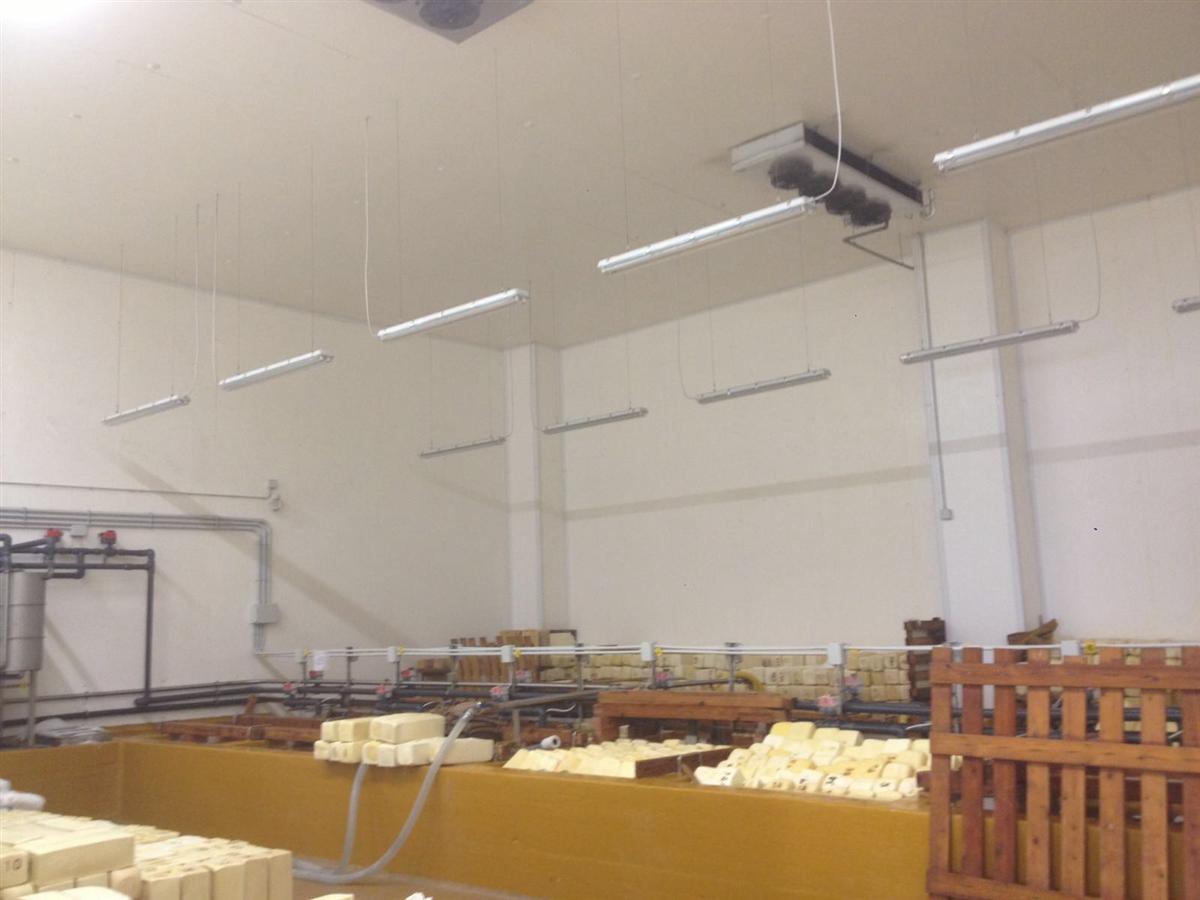 Ambiente refrigerato